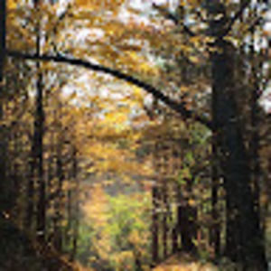 Meet your Posher, Katherine